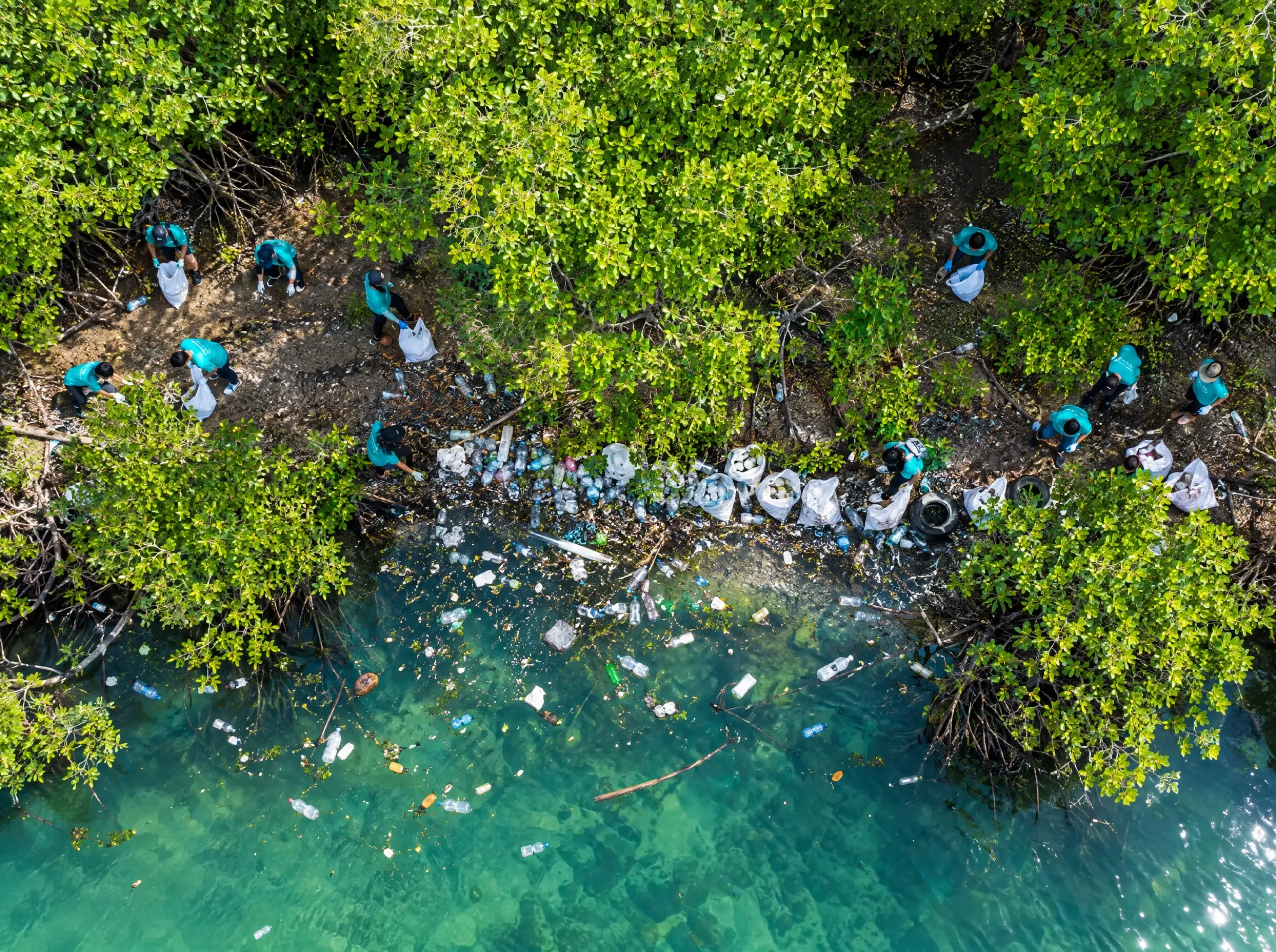Volunteers in teal shirts collecting bottles along a mangrove riverbank, seen from above